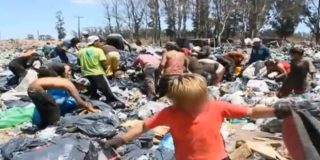 [V&iacute;deo] En Mar del Plata no es oro todo lo que reluce: los ni&ntilde;os trabajan en el vertedero entre ratas