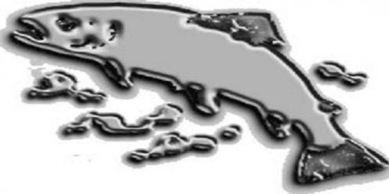 &iexcl;Alerta! Oceana detecta rape y cabracho en Menorca con altos &iacute;ndices de mercurio