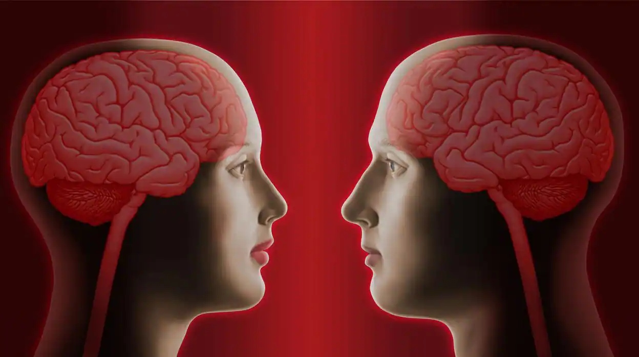 Horóscopo para este viernes 20 de febrero de 2026