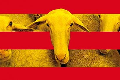 El castellano deber&aacute; ser vehicular en Catalu&ntilde;a, al menos, en el 25% de las clases