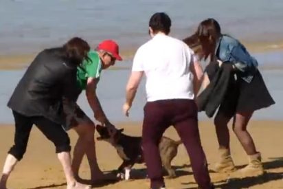 El perturbador v&iacute;deo del pit bull que ataca a cinco personas en la playa de la Concha