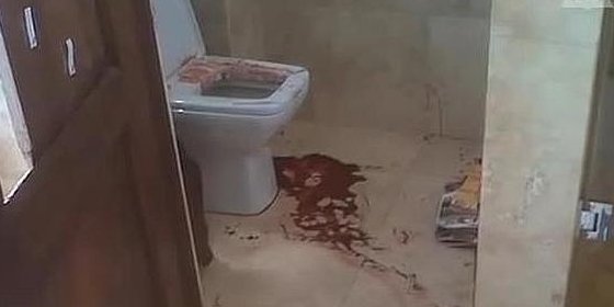 Filtran imágenes del baño ensangrentado en el que murió la novia de Pistorius
