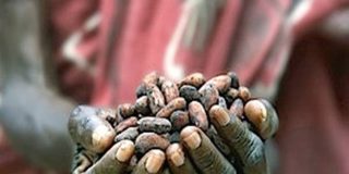 Por culpa de los chinos el chocolate se pondr&aacute; por las nubes y nos sabr&aacute; amargo