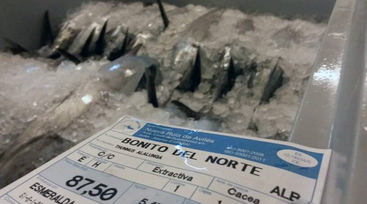 &iexcl;Ojo al pescado! Con el bonito del norte no est&aacute;n dando gato por liebre