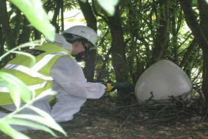 El huevo gigante de un extraterrestre provoca ataques de p&aacute;nico entre los ni&ntilde;os de un colegio