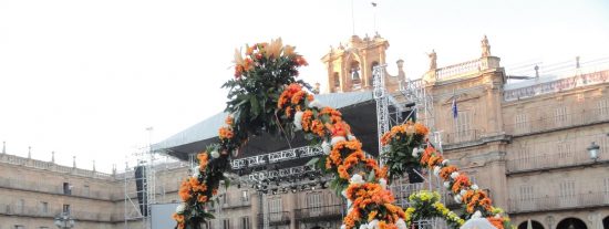 Abriendo nuevos caminos