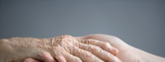 Incidencia de los expedientes de contrataci&oacute;n p&uacute;blica de la Ley General de Derechos de las Personas con Discapacidad