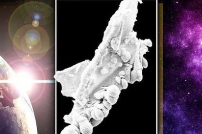 La asombrosa foto de un diminuto extraterrestre captada por unos cient&iacute;ficos pone el grito en el cielo
