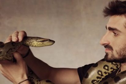 Engullido en vivo y en directo por una anaconda... y con todo su permiso