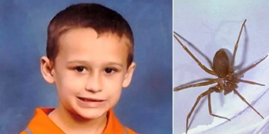 Muere un ni&ntilde;o de 5 a&ntilde;os tras ser picado por una ara&ntilde;a que estaba en su pijama
