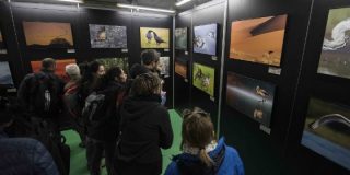 &Eacute;xito total de participaci&oacute;n en la segunda jornada de FIO