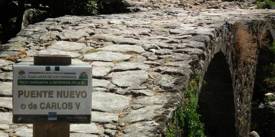 El diario más leído de Flandes sigue los pasos de Carlos V