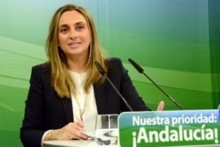 Carazo (PP) exige a Susana D&iacute;az que "no utilice a los ni&ntilde;os como rehenes de su incapacidad"