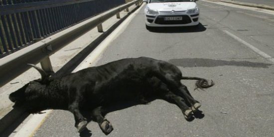 El v&iacute;deo del toro de Talavera que se ha escapado hiriendo a 11 personas