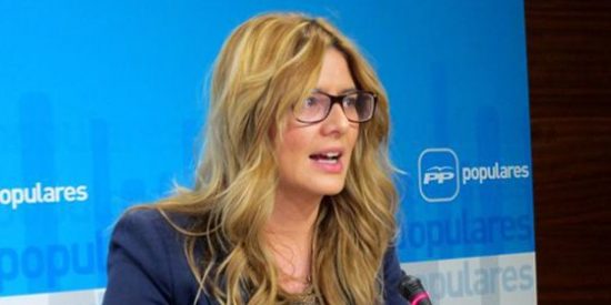 Agudo (PP): "Page es un hombre da&ntilde;ino, mentiroso y peligroso"