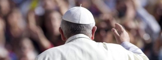 Doce meses, doce causas (de Francisco)