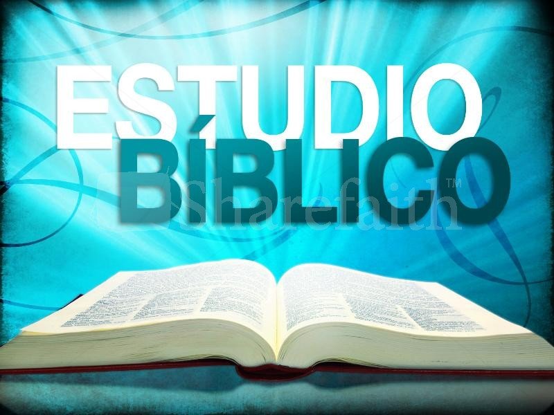 Los estudios b&iacute;blicos en la actualidad
