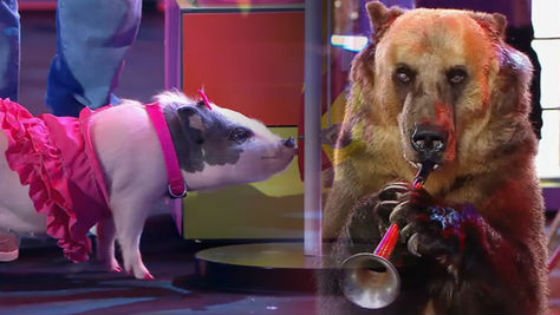 '&iexcl;Vaya fauna!', una oda al frikismo m&aacute;s rancio &iquest;Deber&iacute;an cancelarlo por "maltrato animal"?