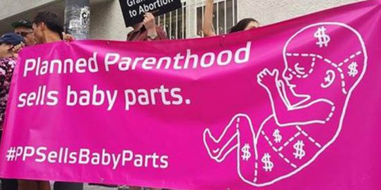 Carmelo Alvarez Fernandez de Gamarra: "Planned Parenthood: &iexcl;Ya est&aacute; bien! &iquest;No?"