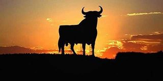 Toros y política miope