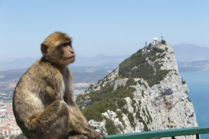 Gran Breta&ntilde;a acusa a Espa&ntilde;a de entrar ilegalmente en aguas de Gibraltar