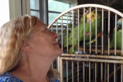La 'despluman' con una multa por tener dos loros muy parlanchines y demasiado educados