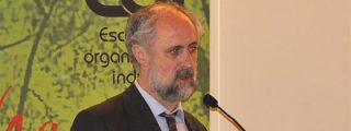 &iexcl;Enchufa a sobrinos para esto!: "No podemos paralizar los desahucios"