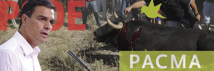 PACMA entrega 120.000 firmas a Pedro Sánchez para abolir el Toro de la Vega