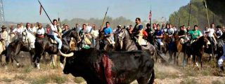 "&iexcl;Rompesuelas, no est&aacute;s solo!": Manifestaci&oacute;n en Madrid contra el Toro de la Vega