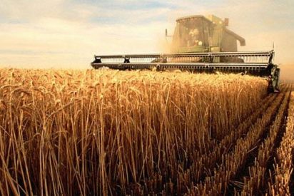 Explotación agrícola