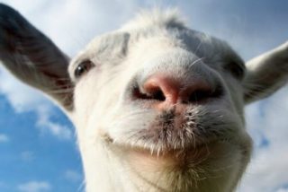 &iexcl;La org&iacute;a sexual de unos yihadistas con unas cabras grabada por un drone!