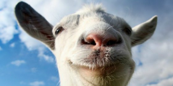 &iexcl;La org&iacute;a sexual de unos yihadistas con unas cabras grabada por un drone!