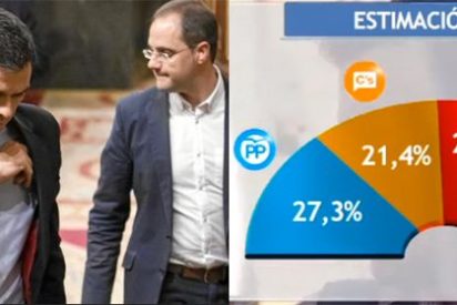 Cat&aacute;strofe del PSOE en el horizonte: Ciudadanos ya es segundo en intenci&oacute;n de voto