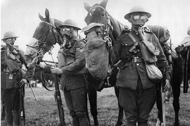 De la guerra