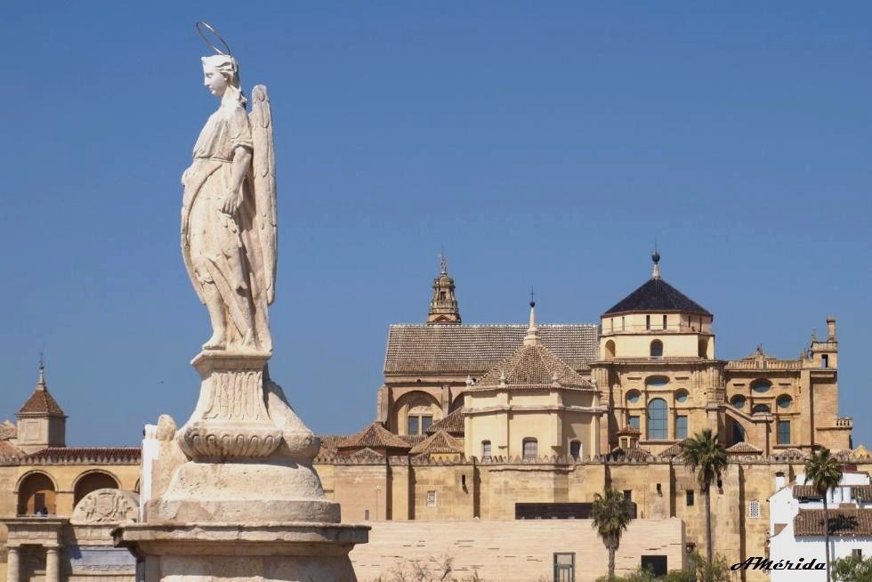 Desestimados los recursos contra las inmatriculaciones de la Iglesia