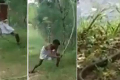 La terrible venganza de un padre contra la cobra real que mat&oacute; a su hijo