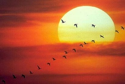 Cient&iacute;ficos alemanes lanzan "un sol artificial" para generar energ&iacute;a