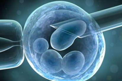 Células madre sintéticas