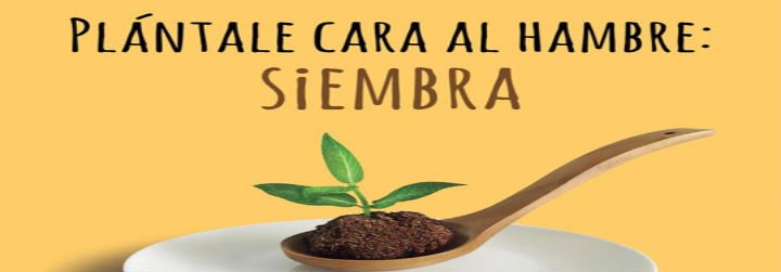 Manos Unidas lanza su campaña 'Plántale cara al hambre: siembra'