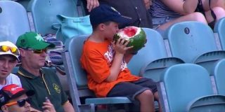El extra&ntilde;o y mordisc&oacute;n 'ni&ntilde;o sand&iacute;a' que devora la fruta con c&aacute;scara y todo