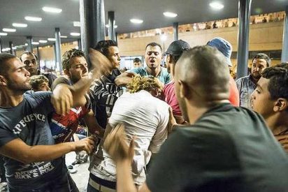 &iexcl;Taharrush! El sucio juego sexual de los musulmanes salidos que amenaza a toda Europa