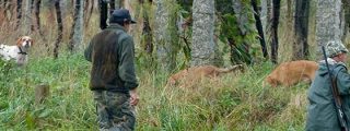 La Mesa Extreme&ntilde;a de la Caza critica el intento de criminalizar al sector