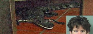 El tipo sin coco lanza a un cocodrilo por la ventana de un restaurante