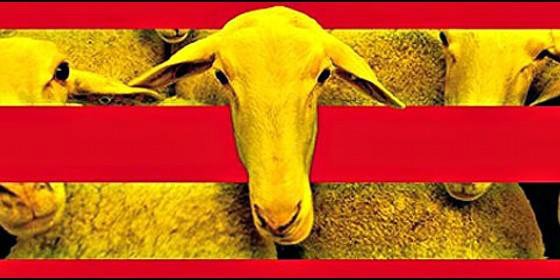 El TSJC anula el protocolo que obliga a hablar s&oacute;lo y siempre catal&aacute;n a los funcionarios