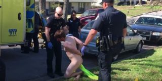 [V&Iacute;DEO] El joven toma 'droga can&iacute;bal' y se come desnudo el correo del vecino: "&iexcl;Soy el mago Merl&iacute;n!"