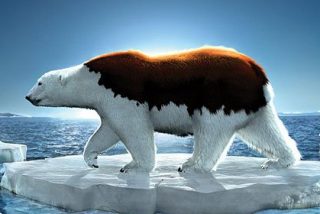 Calentamiento: El Planeta Tierra tuvo un subid&oacute;n r&eacute;cord en febrero de 2016