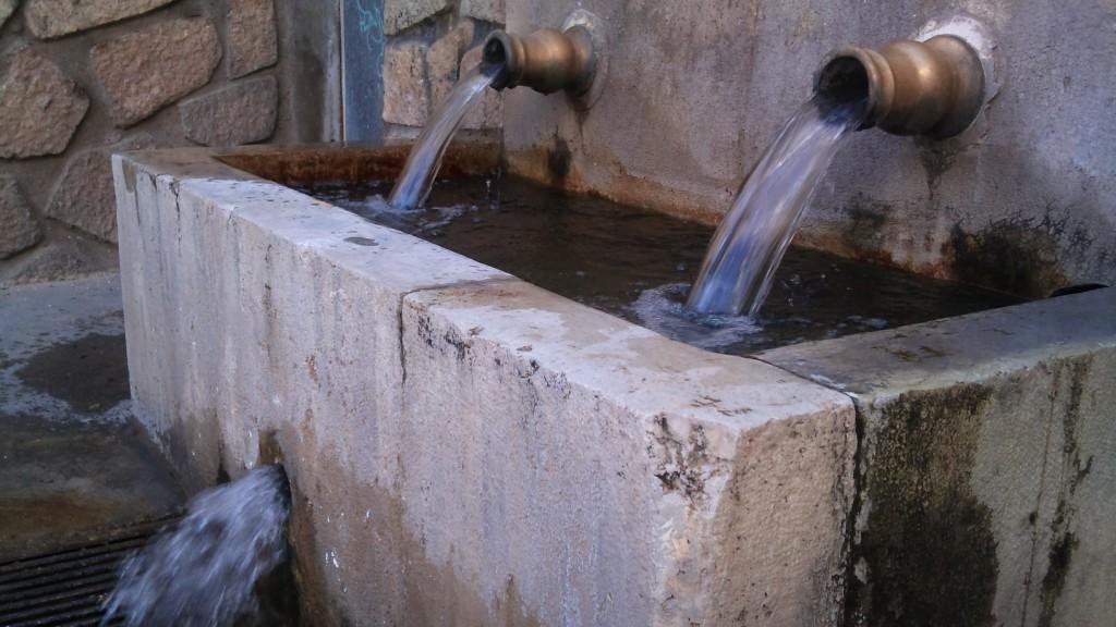 El Misterio de la vida