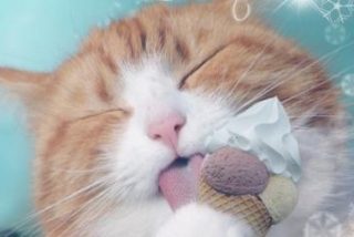 &iexcl;PROP&Oacute;SITO DE ENMIENDA Y CUMPLIR LA PENITENCIA!