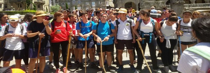 'Peregrinus': la acogida al final del Camino de Santiago