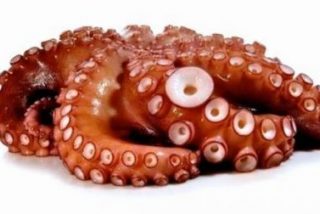 Receta: pulpo, &iexcl;y no es a la gallega!